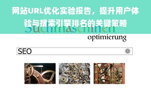 网站URL优化实验报告，提升用户体验与搜索引擎排名的关键策略