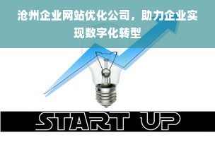 沧州企业网站优化公司，助力企业实现数字化转型