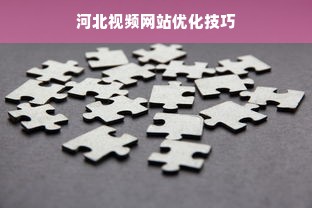 河北视频网站优化技巧