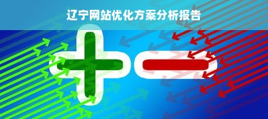 辽宁网站优化方案分析报告