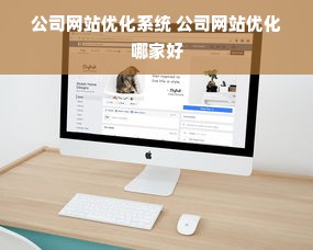 公司网站优化系统 公司网站优化哪家好