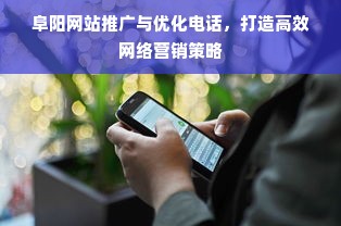 阜阳网站推广与优化电话，打造高效网络营销策略