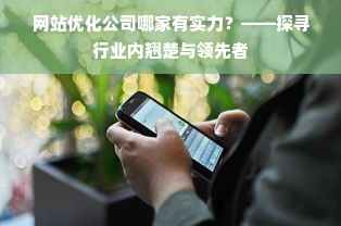 网站优化公司哪家有实力？——探寻行业内翘楚与领先者