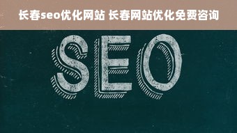 长春seo优化网站 长春网站优化免费咨询