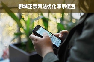 聊城正宗网站优化哪家便宜