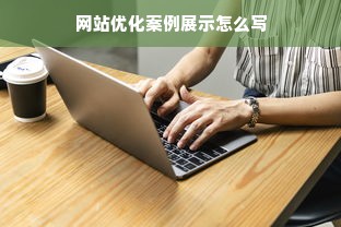 网站优化案例展示怎么写