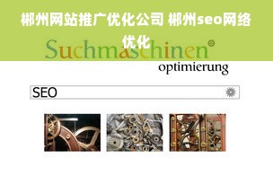 郴州网站推广优化公司 郴州seo网络优化