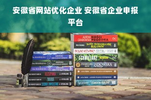 安徽省网站优化企业 安徽省企业申报平台