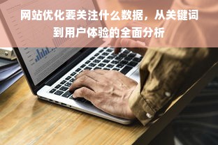 网站优化要关注什么数据，从关键词到用户体验的全面分析