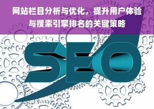 网站栏目分析与优化，提升用户体验与搜索引擎排名的关键策略