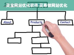 灵宝网站优化软件 灵寿做网站优化