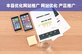 丰县优化网站推广 网站优化 产品推广