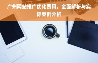 广州网站推广优化费用，全面解析与实际案例分析