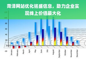 菏泽网站优化铭盛信息，助力企业实现线上价值最大化