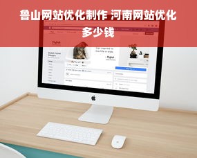 鲁山网站优化制作 河南网站优化多少钱