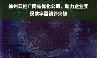 徐州云推广网站优化公司，助力企业实现数字营销新突破