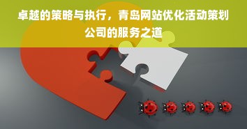 卓越的策略与执行，青岛网站优化活动策划公司的服务之道