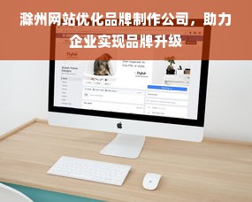 滁州网站优化品牌制作公司，助力企业实现品牌升级