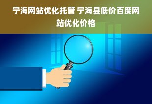 宁海网站优化托管 宁海县低价百度网站优化价格