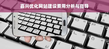 嘉兴优化网站建设费用分析与指导