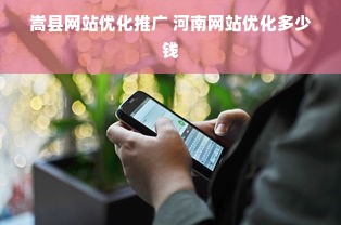 嵩县网站优化推广 河南网站优化多少钱