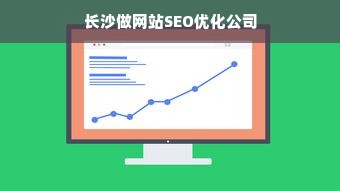 长沙做网站SEO优化公司