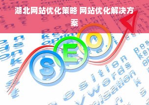 湖北网站优化策略 网站优化解决方案