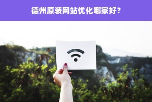 德州原装网站优化哪家好？