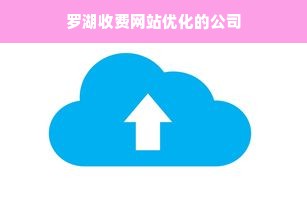 罗湖收费网站优化的公司