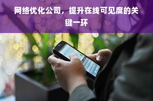 网络优化公司，提升在线可见度的关键一环