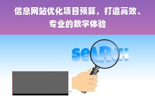 信息网站优化项目预算，打造高效、专业的数字体验