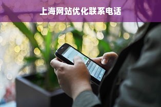 上海网站优化联系电话