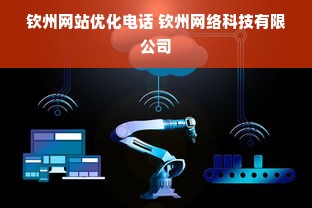 钦州网站优化电话 钦州网络科技有限公司