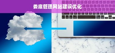 娄底管理网站建设优化