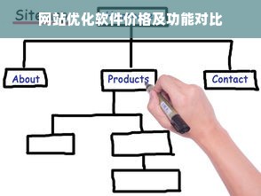 网站优化软件价格及功能对比