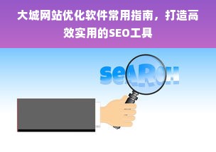 大城网站优化软件常用指南，打造高效实用的SEO工具