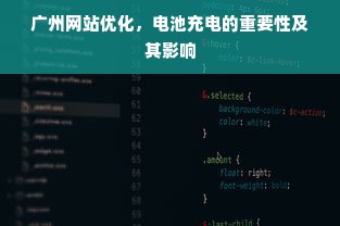 广州网站优化，电池充电的重要性及其影响