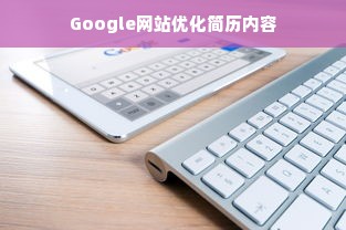 Google网站优化简历内容