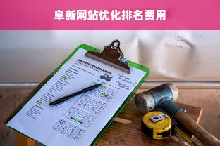 阜新网站优化排名费用