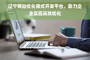 辽宁网站优化模式开发平台，助力企业实现高效优化