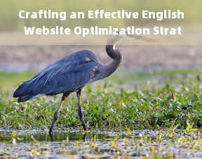 Crafting an Effective English Website Optimization Strategy for Business Growth