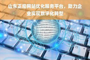 山东正规网站优化服务平台，助力企业实现数字化转型