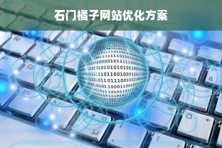 石门橘子网站优化方案