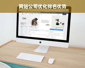 网站公司优化排名优势