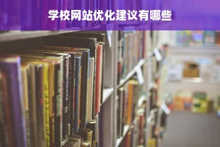 学校网站优化建议有哪些