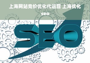 上海网站竞价优化代运营 上海优化seo