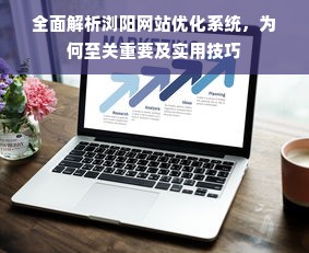 全面解析浏阳网站优化系统，为何至关重要及实用技巧