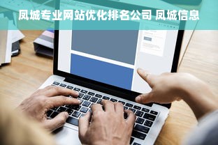 凤城专业网站优化排名公司 凤城信息