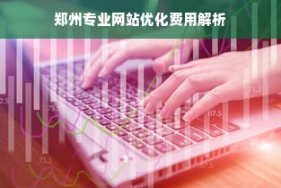 郑州专业网站优化费用解析