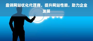 盘锦网站优化代理商，提升网站性能，助力企业发展